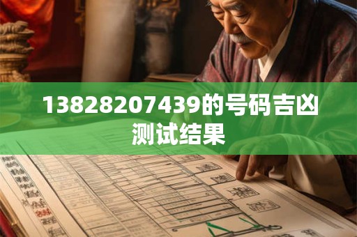 13828207439的号码吉凶测试结果