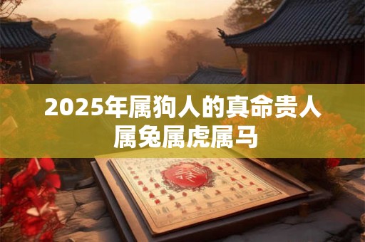 2025年属狗人的真命贵人 属兔属虎属马