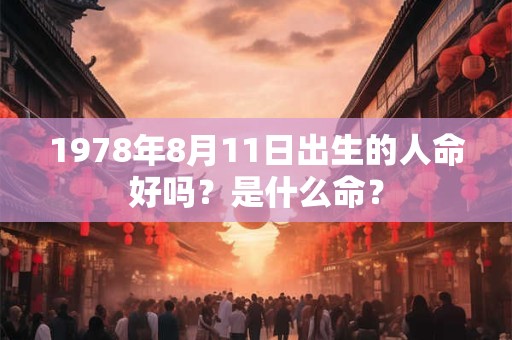 1978年8月11日出生的人命好吗？是什么命？