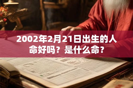 2002年2月21日出生的人命好吗？是什么命？