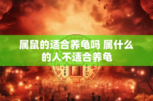 属鼠的适合养龟吗 属什么的人不适合养龟