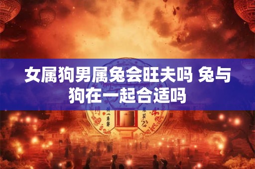 女属狗男属兔会旺夫吗 兔与狗在一起合适吗