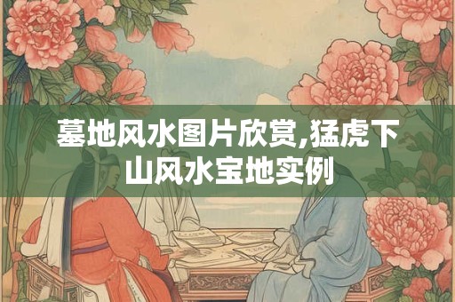 墓地风水图片欣赏,猛虎下山风水宝地实例