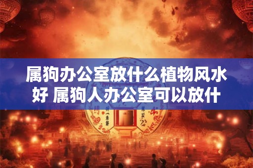 属狗办公室放什么植物风水好 属狗人办公室可以放什么