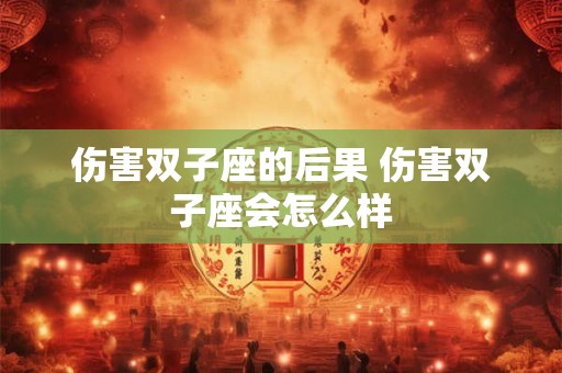 伤害双子座的后果 伤害双子座会怎么样