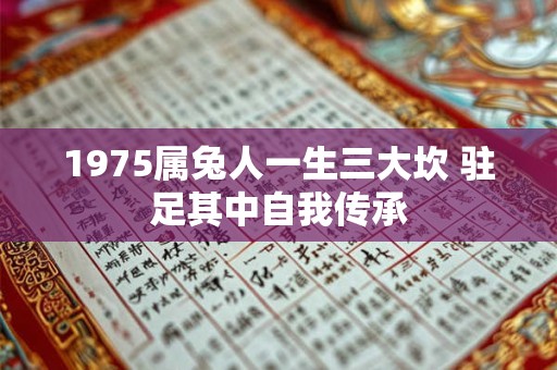 1975属兔人一生三大坎 驻足其中自我传承