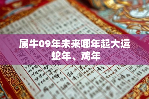 属牛09年未来哪年起大运 蛇年、鸡年