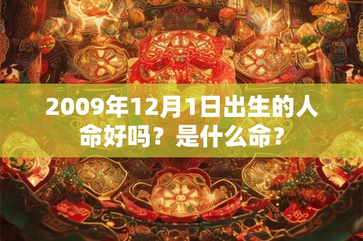 2009年12月1日出生的人命好吗？是什么命？