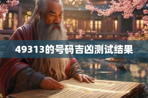 49313的号码吉凶测试结果