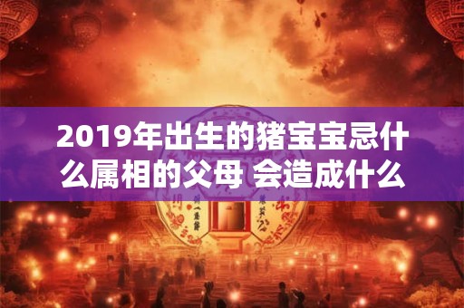 2019年出生的猪宝宝忌什么属相的父母 会造成什么影响