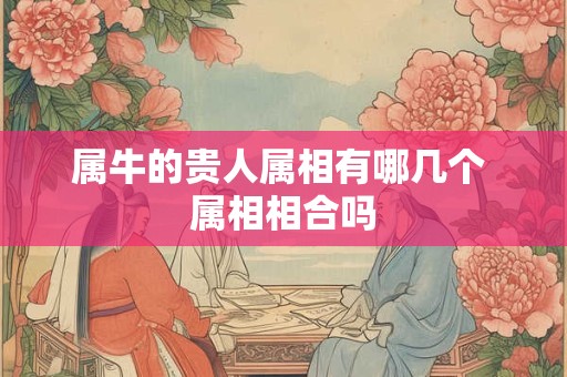 属牛的贵人属相有哪几个 属相相合吗