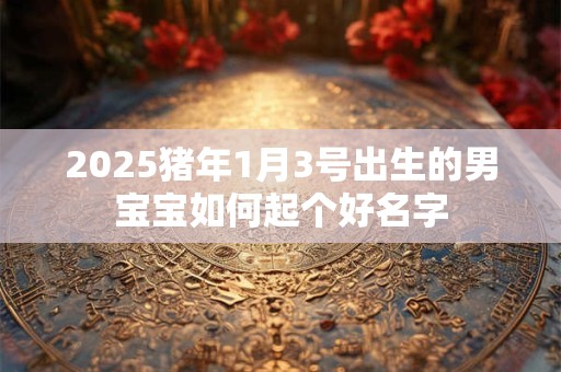 2025猪年1月3号出生的男宝宝如何起个好名字