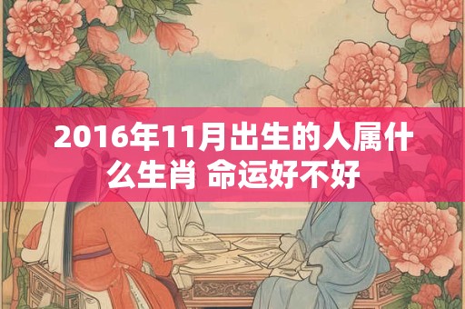 2016年11月出生的人属什么生肖 命运好不好