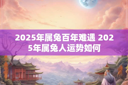 2025年属兔百年难遇 2025年属兔人运势如何