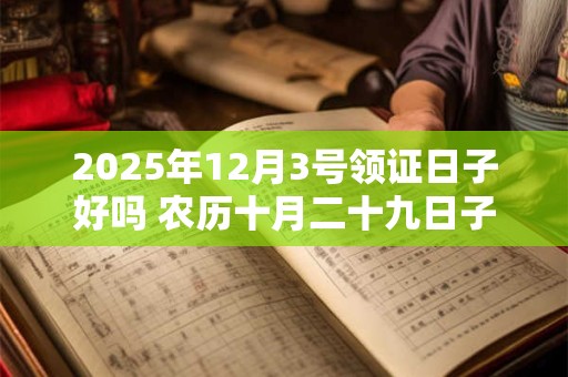 2025年12月3号领证日子好吗 农历十月二十九日子好吗