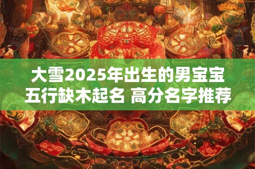 大雪2025年出生的男宝宝五行缺木起名 高分名字推荐！