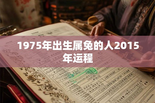 1975年出生属兔的人2015年运程