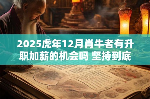 2025虎年12月肖牛者有升职加薪的机会吗 坚持到底回报巨大