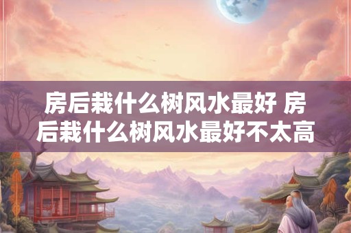 房后栽什么树风水最好 房后栽什么树风水最好不太高
