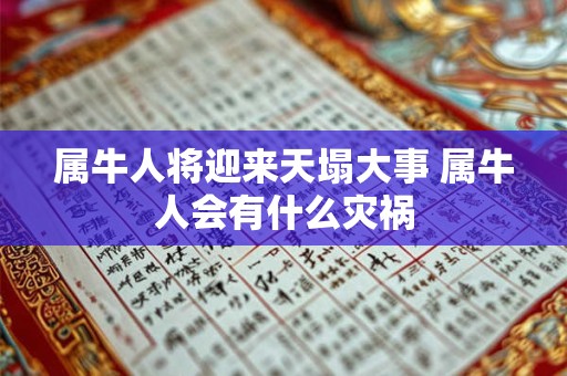 属牛人将迎来天塌大事 属牛人会有什么灾祸