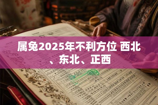 属兔2025年不利方位 西北、东北、正西