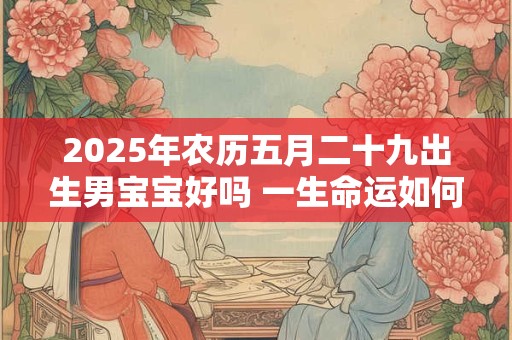 详细阅读:2025年农历五月二十九出生男宝宝好吗 一生命运如何 2025年农历五月二十九出生男宝宝好吗 一生命运如何