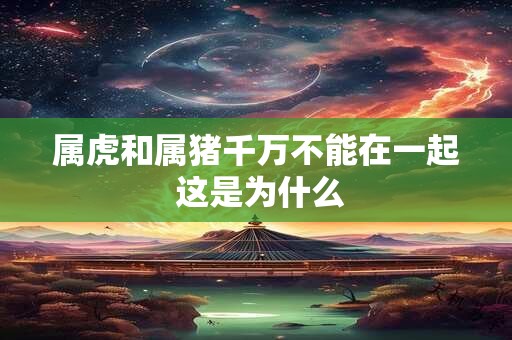 属虎和属猪千万不能在一起 这是为什么