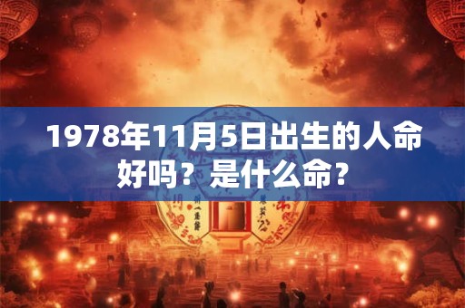 1978年11月5日出生的人命好吗？是什么命？