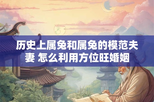历史上属兔和属兔的模范夫妻 怎么利用方位旺婚姻 历史上属兔和属兔的模范夫妻 怎么利用方位旺婚姻