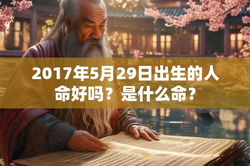 2017年5月29日出生的人命好吗？是什么命？