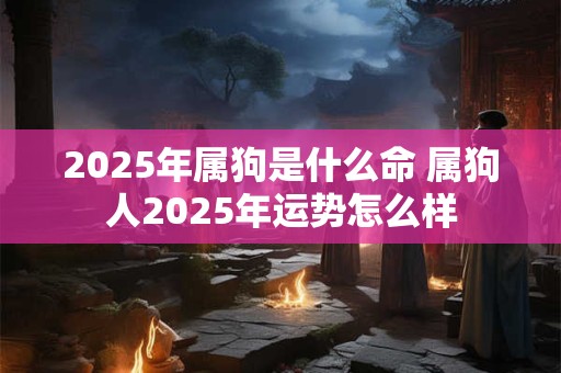 2025年属狗是什么命 属狗人2025年运势怎么样