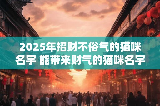 2025年招财不俗气的猫咪名字 能带来财气的猫咪名字