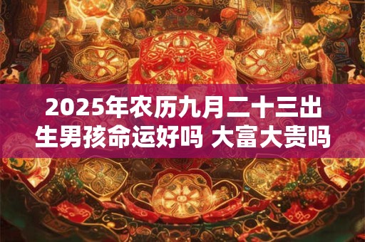 2025年农历九月二十三出生男孩命运好吗 大富大贵吗
