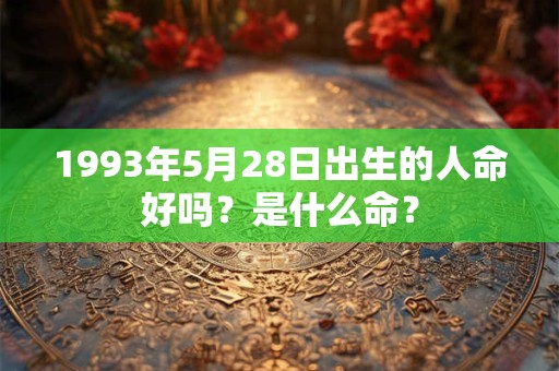 1993年5月28日出生的人命好吗？是什么命？