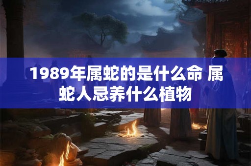 1989年属蛇的是什么命 属蛇人忌养什么植物