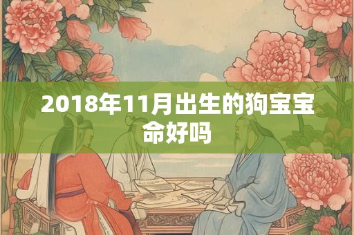 2018年11月出生的狗宝宝命好吗