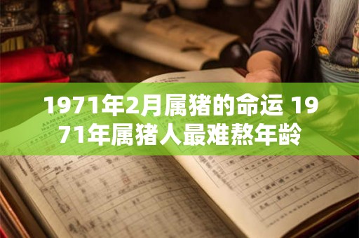 1971年2月属猪的命运 1971年属猪人最难熬年龄