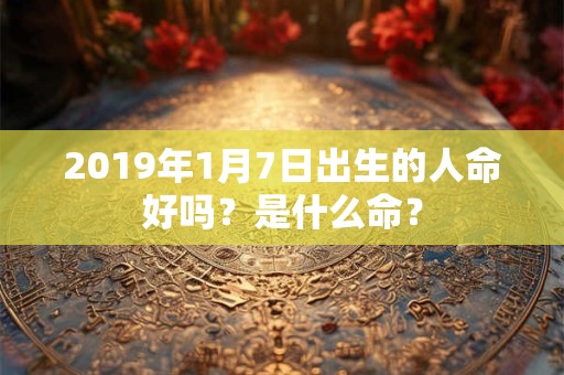 2019年1月7日出生的人命好吗？是什么命？