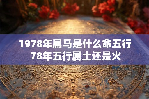1978年属马是什么命五行 78年五行属土还是火