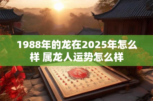 1988年的龙在2025年怎么样 属龙人运势怎么样
