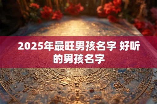 2025年最旺男孩名字 好听的男孩名字