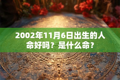 2002年11月6日出生的人命好吗？是什么命？