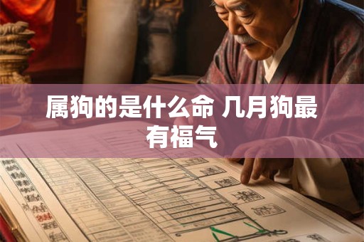 属狗的是什么命 几月狗最有福气