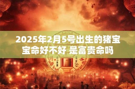 2025年2月5号出生的猪宝宝命好不好 是富贵命吗