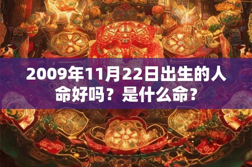 2009年11月22日出生的人命好吗？是什么命？