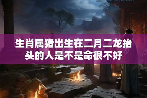 生肖属猪出生在二月二龙抬头的人是不是命很不好