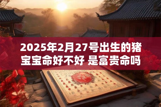 2025年2月27号出生的猪宝宝命好不好 是富贵命吗 2025年2月27号出生的猪宝宝命好不好 是富贵命吗