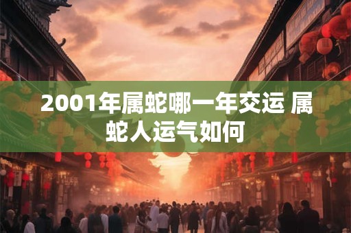 2001年属蛇哪一年交运 属蛇人运气如何