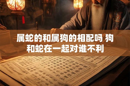 属蛇的和属狗的相配吗 狗和蛇在一起对谁不利