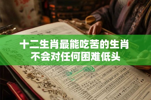 十二生肖最能吃苦的生肖 不会对任何困难低头